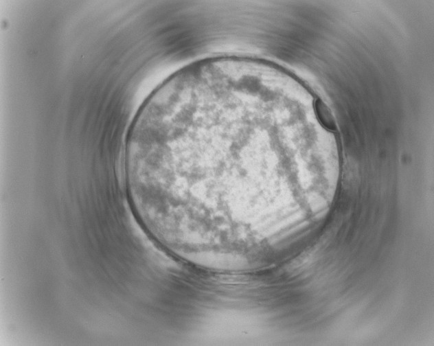 X0000088161295200706051042