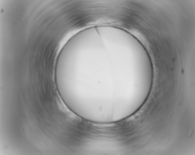 X0000088161296200706051042