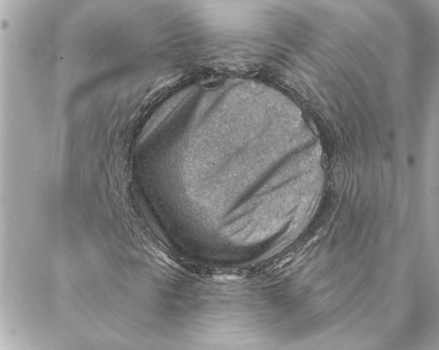 X0000088161297200706051041