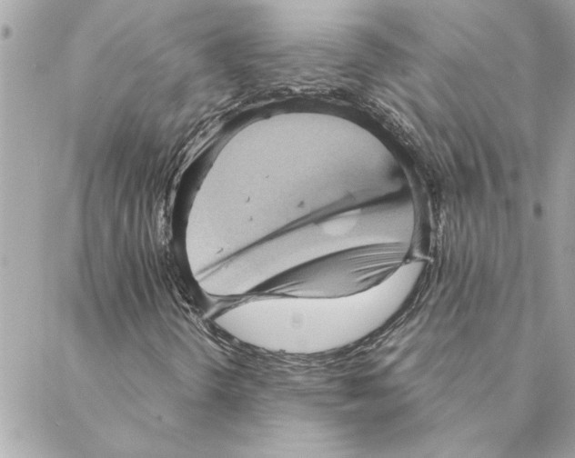 X0000088161298200706051041