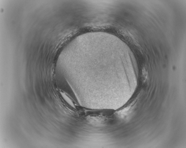 X0000088161300200706051041