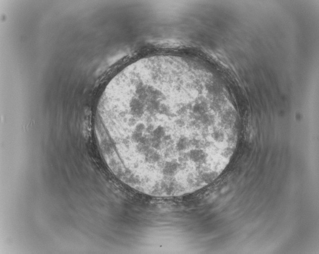 X0000088161301200706051041