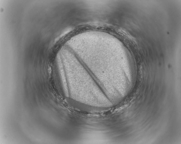 X0000088161302200706051041