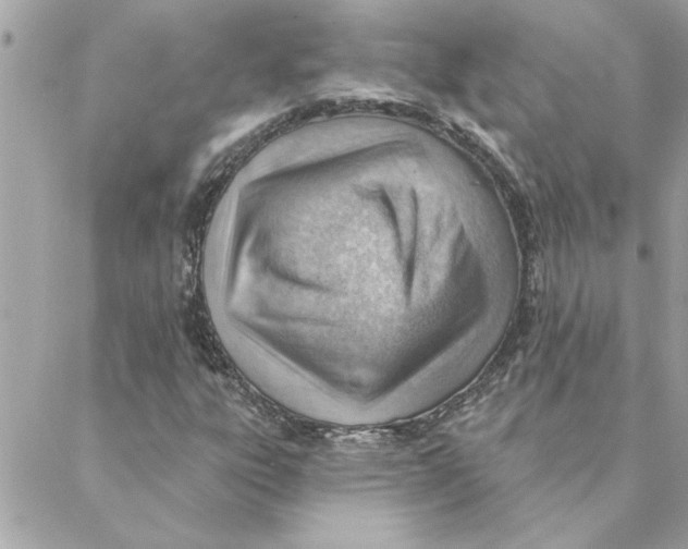 X0000088161303200706051041