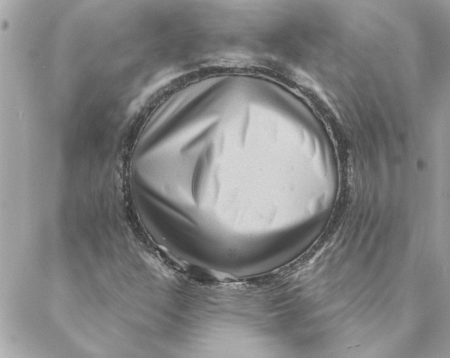 X0000088161304200706051041