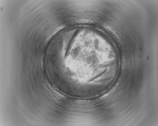 X0000088161305200706051041