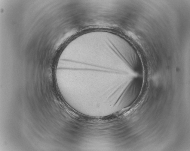 X0000088161307200706051041