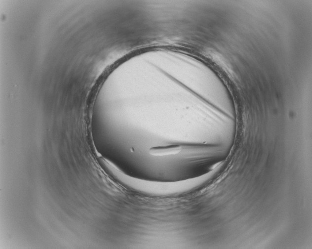 X0000088161308200706051041