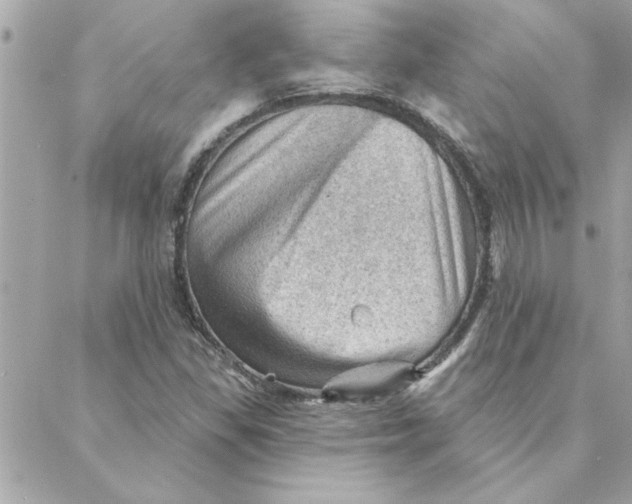 X0000088161309200706051041