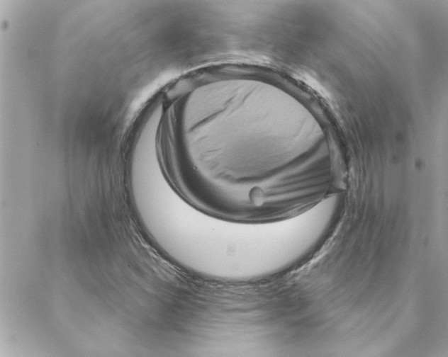 X0000088161310200706051041