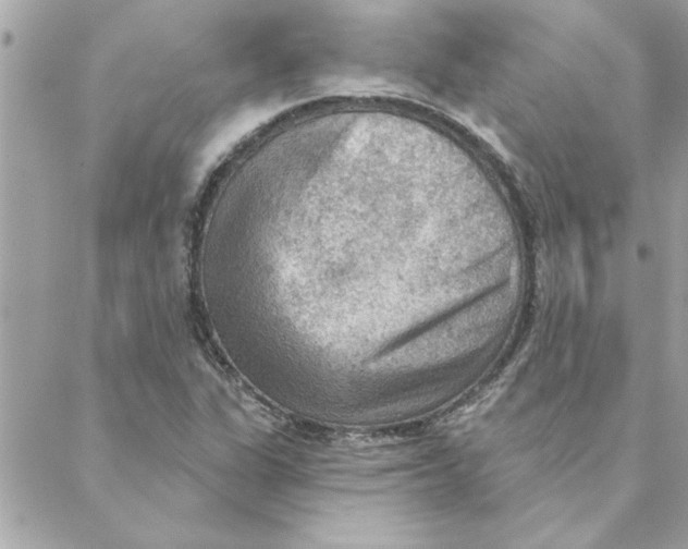 X0000088161311200706051041