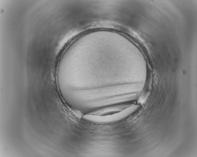 X0000088161312200706051041