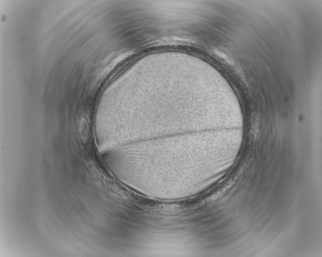 X0000088161313200706051041