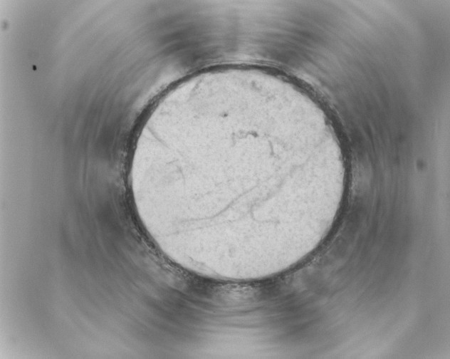 X0000088161314200706051041