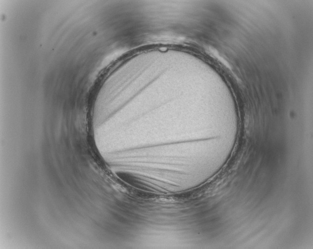 X0000088161315200706051041