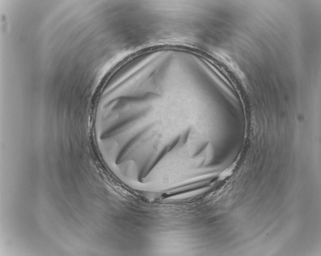 X0000088161316200706051041