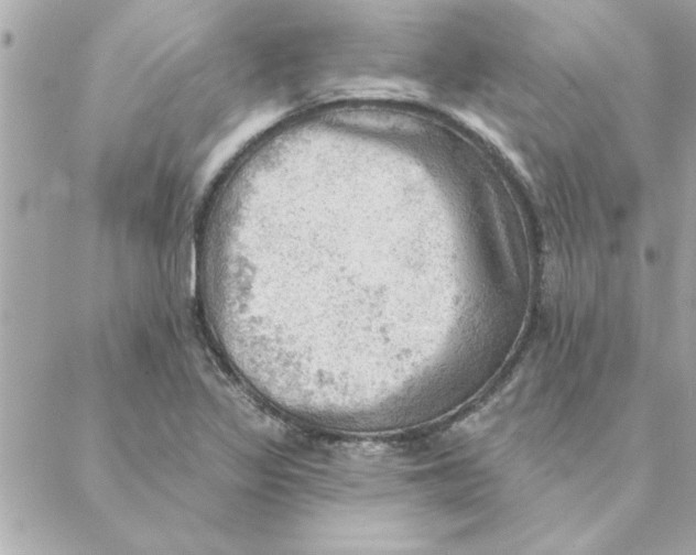 X0000088161317200706051041