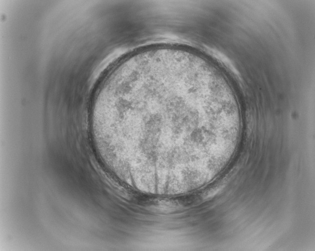 X0000088161318200706051041