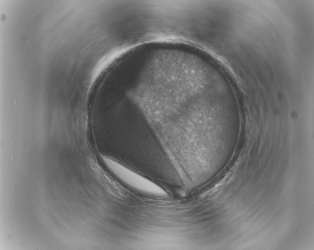 X0000088161319200706051041