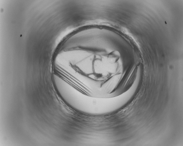 X0000088161320200706051041