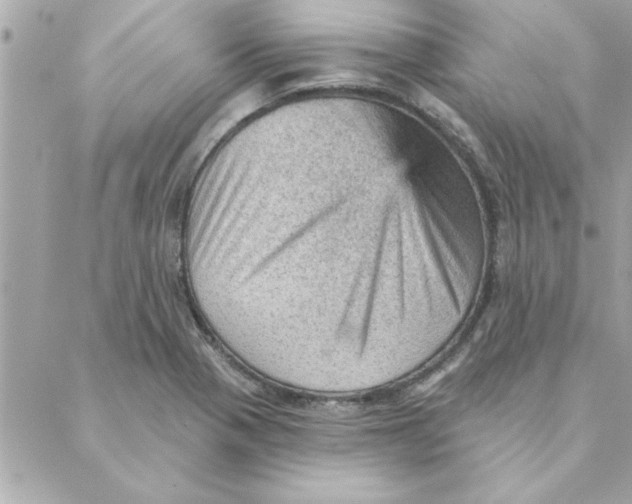 X0000088161321200706051041