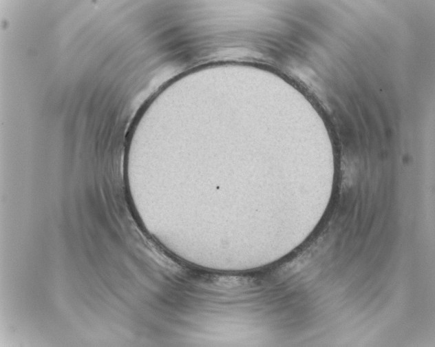 X0000088161322200706051041