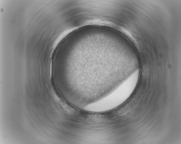 X0000088161323200706051041