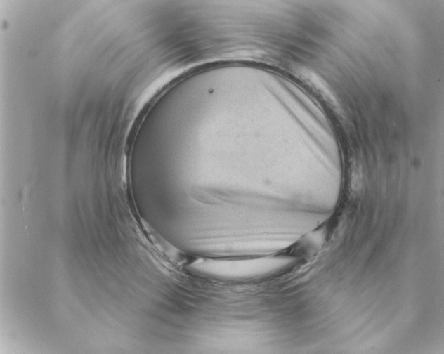 X0000088161324200706051041