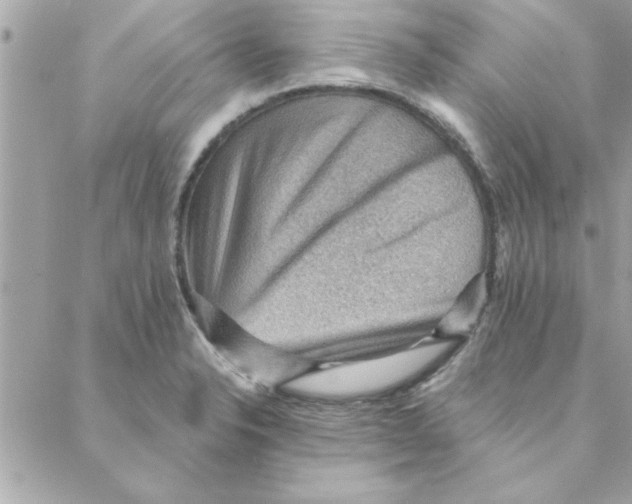 X0000088161326200706051041