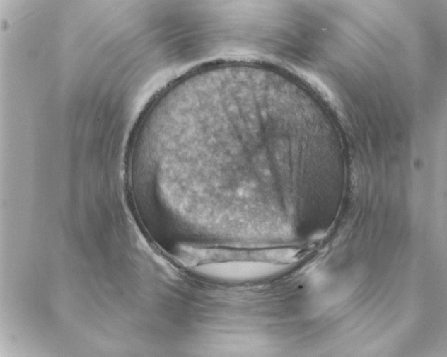 X0000088161327200706051041