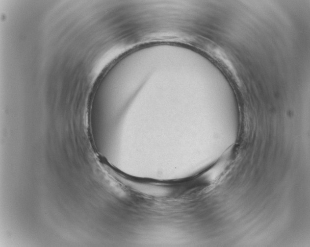 X0000088161328200706051041