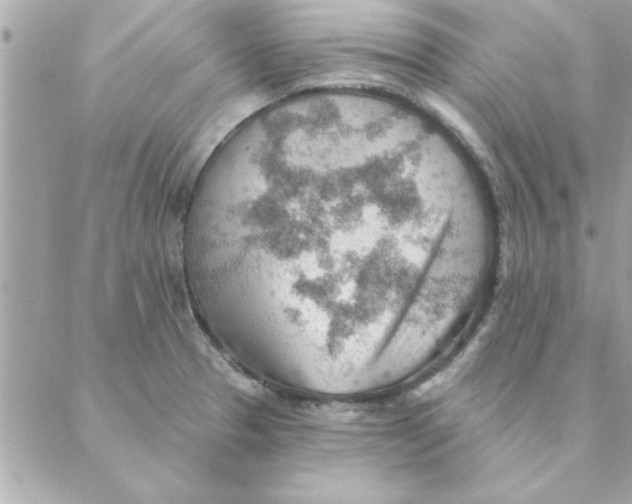 X0000088161329200706051041