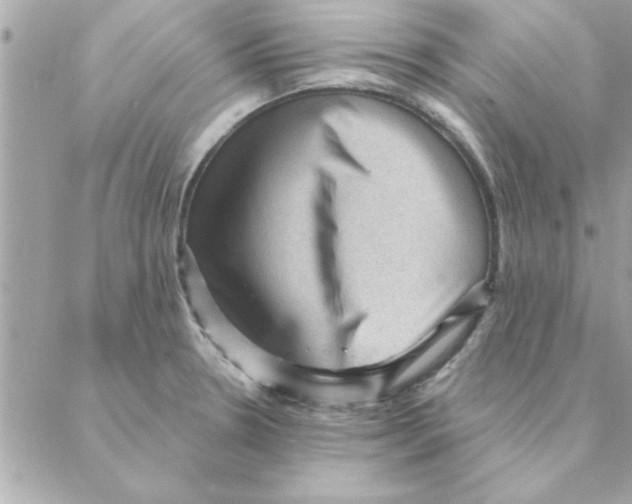 X0000088161330200706051041