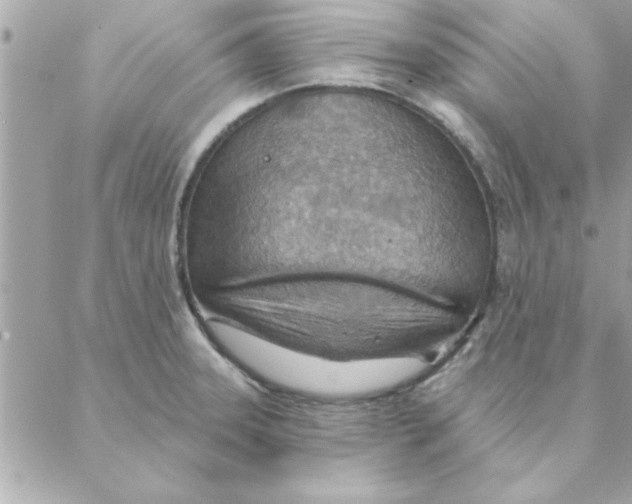 X0000088161331200706051041