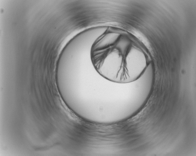 X0000088161332200706051042