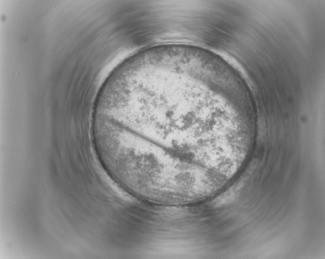 X0000088161333200706051042