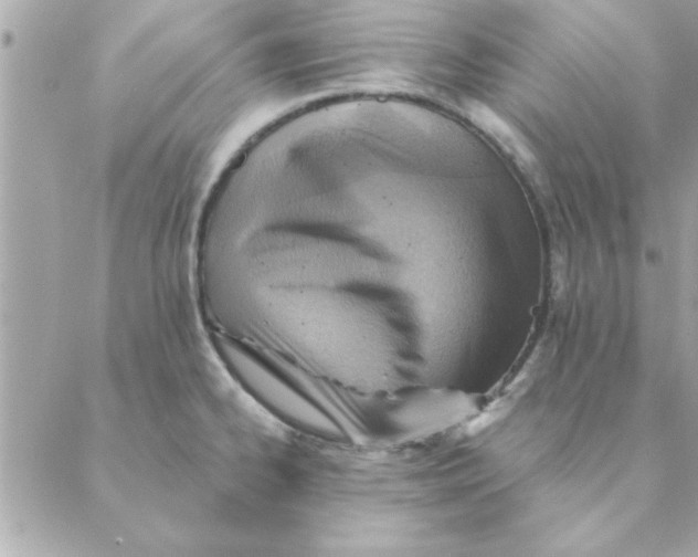 X0000088161334200706051042