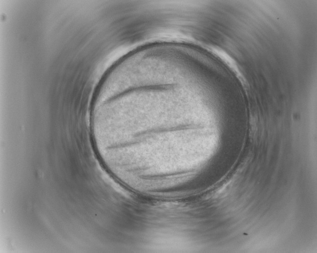 X0000088161335200706051042