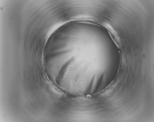 X0000088161336200706051042