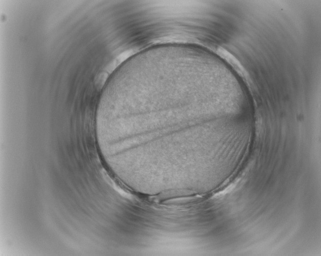 X0000088161337200706051042