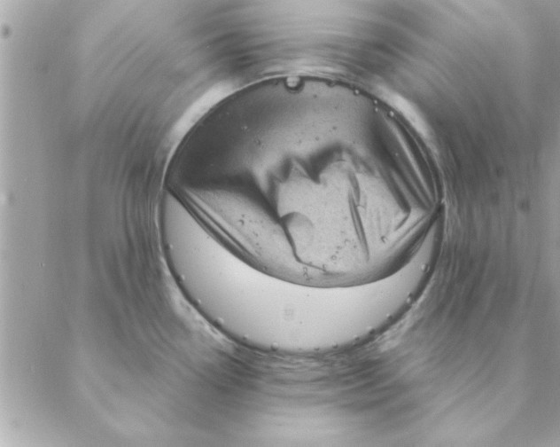 X0000088161338200706051042