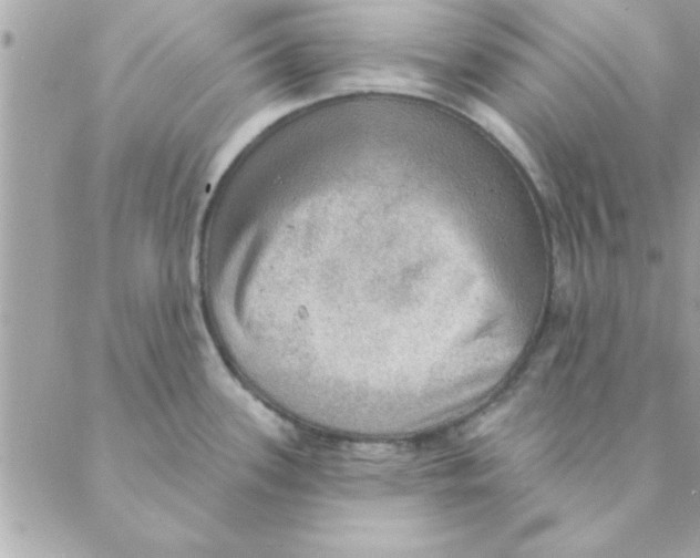 X0000088161339200706051042