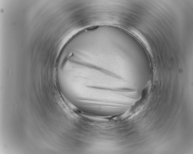 X0000088161340200706051042