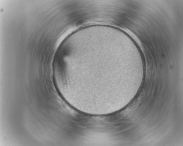 X0000088161341200706051042