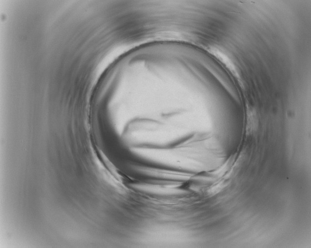 X0000088161342200706051042