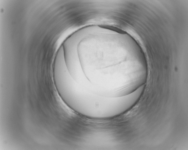 X0000088161344200706051042