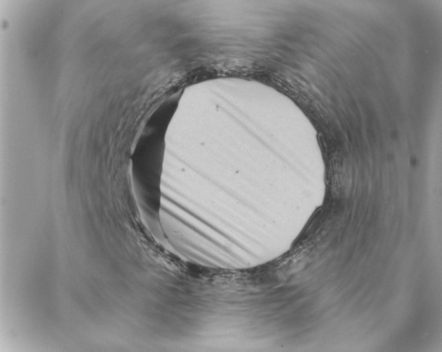 X0000088161345200706051041