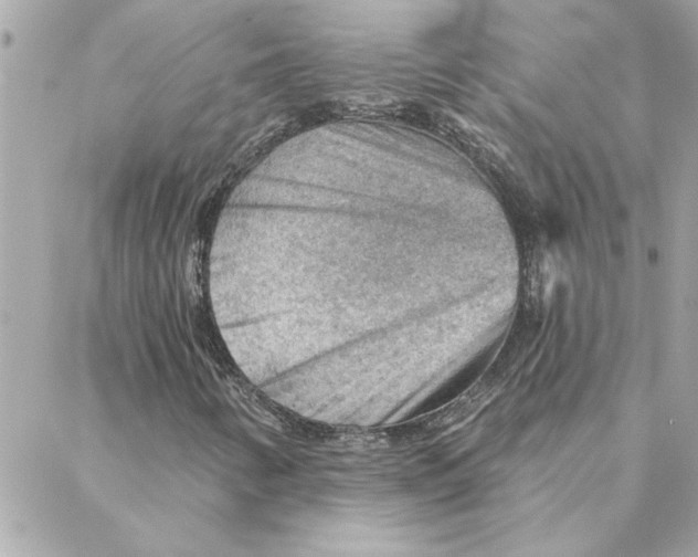 X0000088161346200706051041