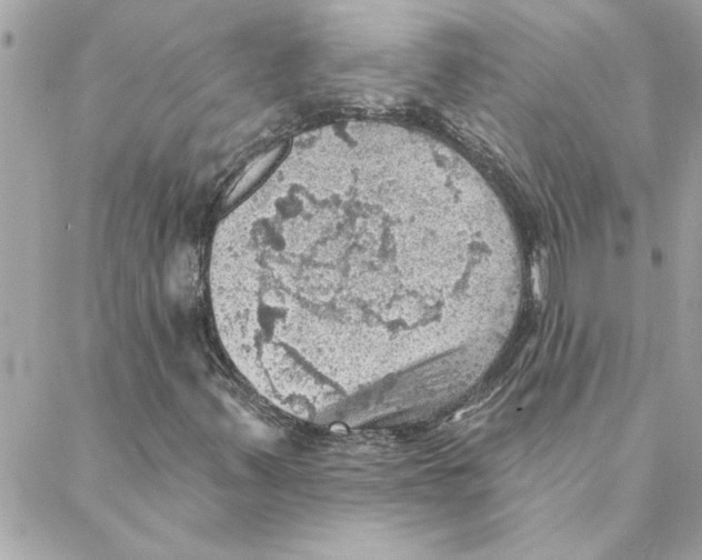 X0000088161347200706051041