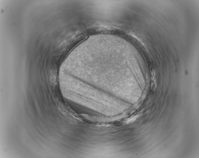 X0000088161348200706051041